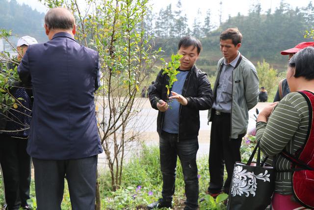 贵州省福润集团有限公司,贵州福润农资