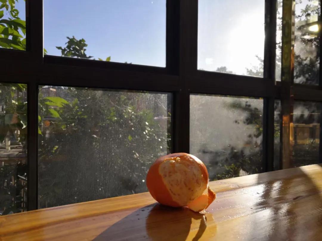 病中岁月，出家人的无依与无悔