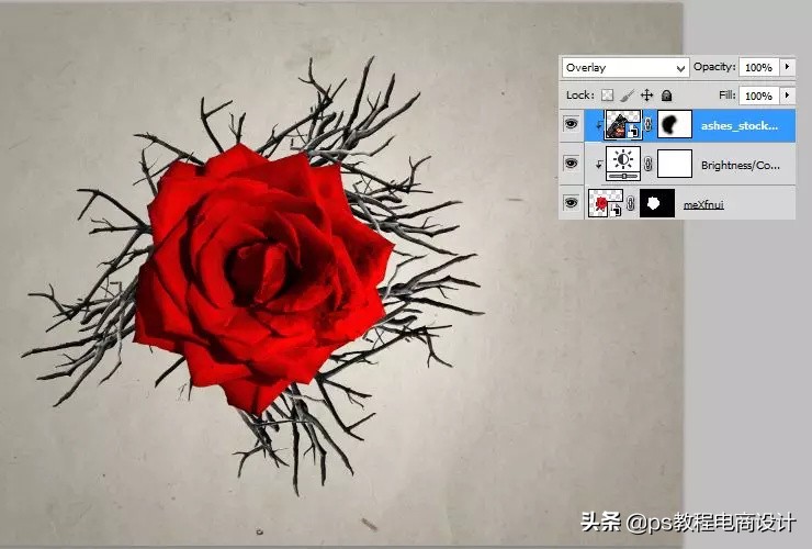 ps怎么把玫瑰变成金黄色,ps蝴蝶和鲜花合成