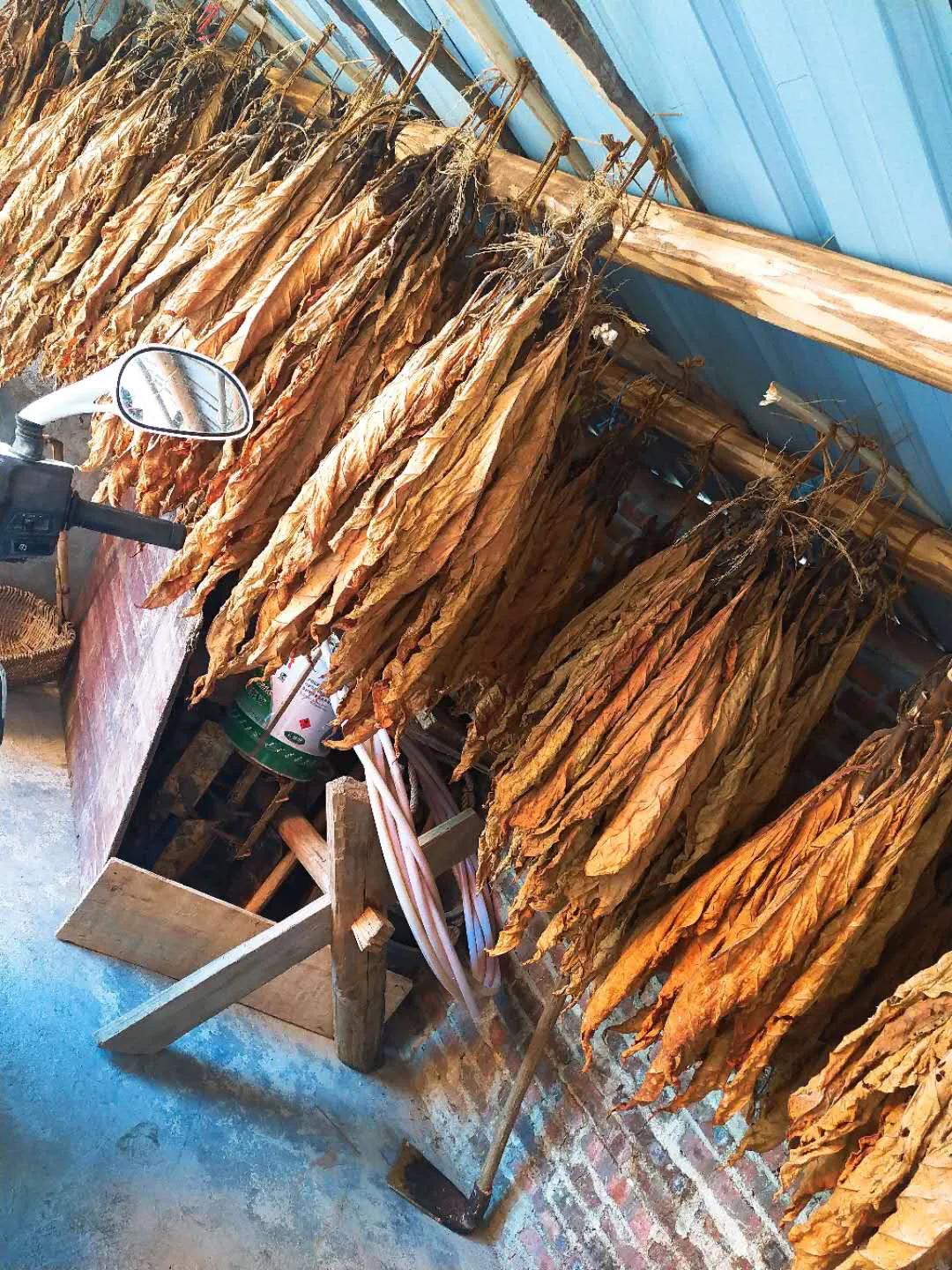 带父母去贵州旅游攻略,带妈妈去贵州旅游去哪里