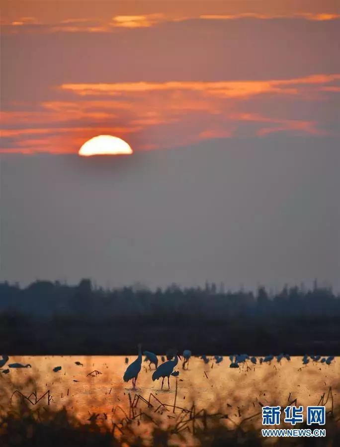 鄱阳湖最新,鄱阳湖为什么叫善变的湖