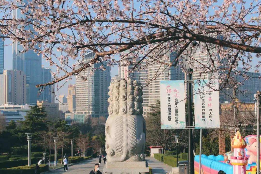 辽宁师范大学辽宁省一流课程,辽宁省普通高等院校