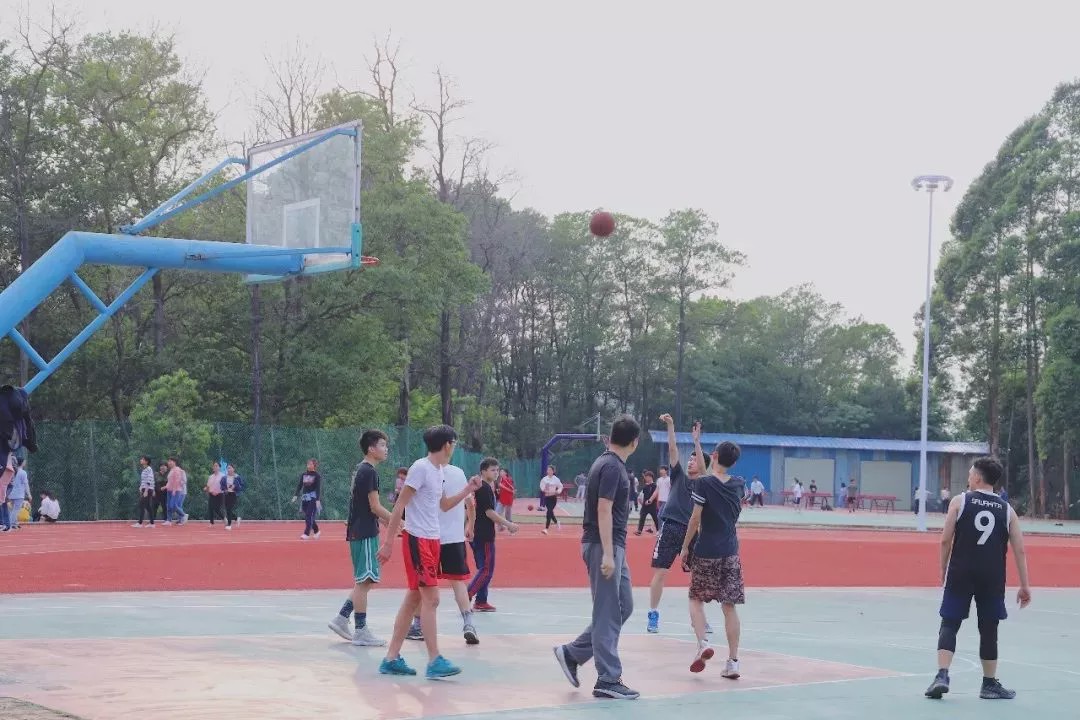 广州比较有名的学校有哪些,广州有没有什么学校比较好的