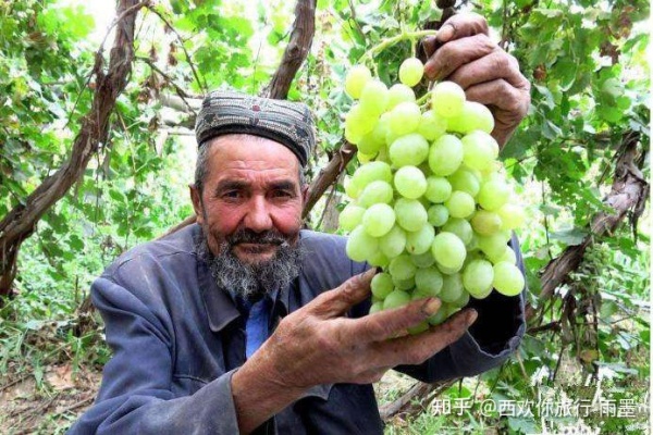 *疆新**瓜果攻略最好的季节配最美味的水果
