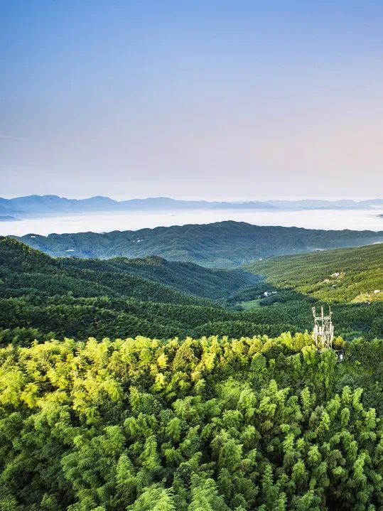 这就是长江,一年四季的长江