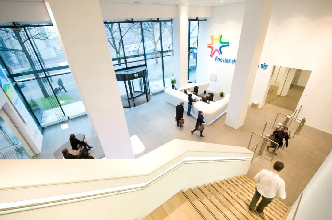 美素佳儿是怎么样的公司,皇家美素佳儿市场占有率