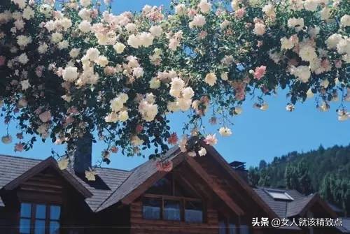 查查你是什么星座,看看你是什么命挺准的