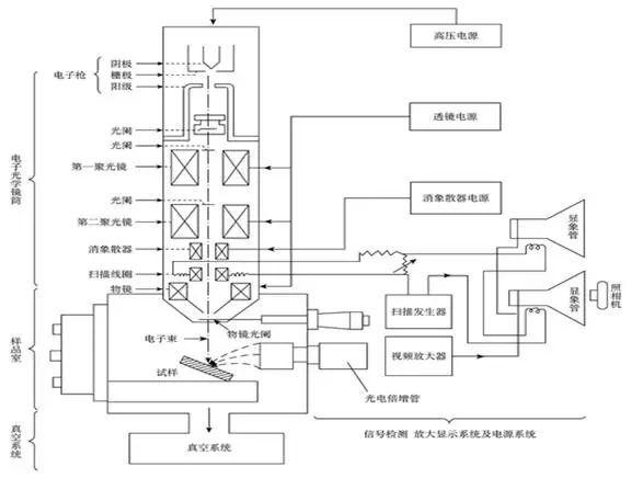 如何进行扫描电镜的制样和操作,扫描电镜工作原理及制样方法