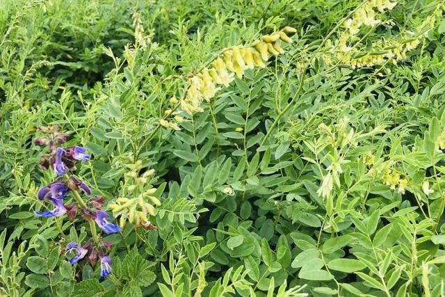 锦州新闻频道今天,锦州晚间新闻