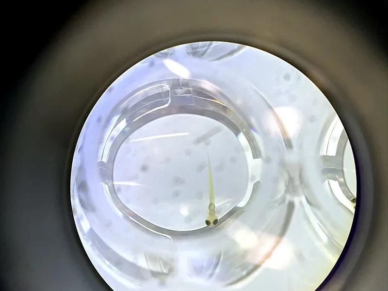 nature评选世界最具影响力科学家,nature评选20位物理学家