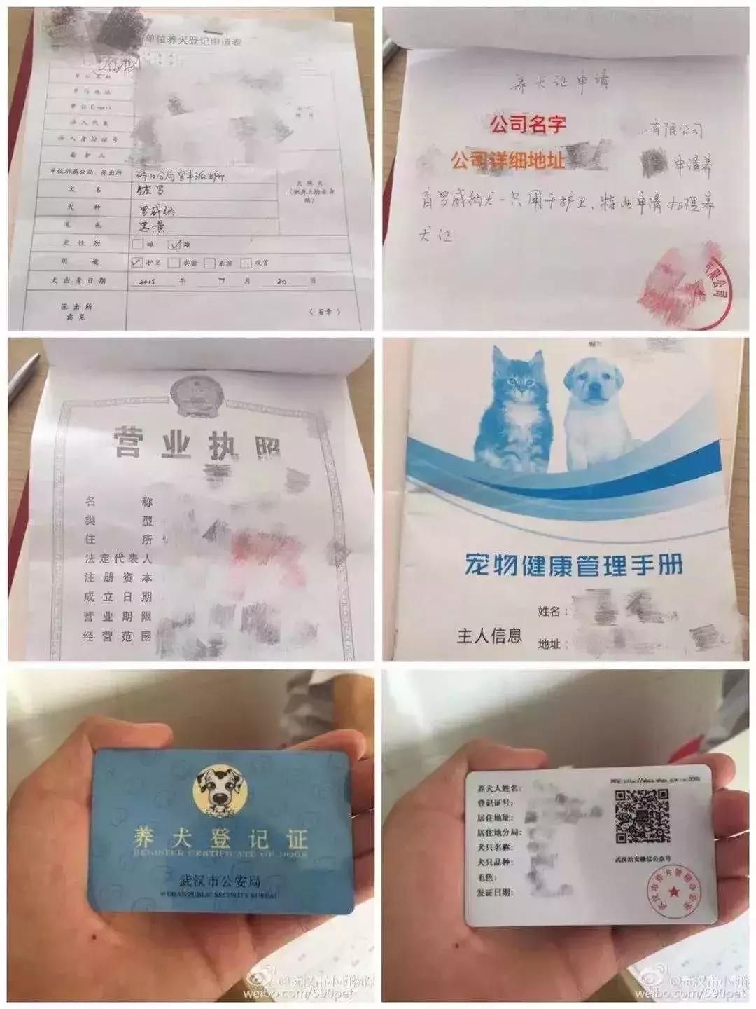 武汉禁狗令哪些品种,武汉养狗办证要在哪里办