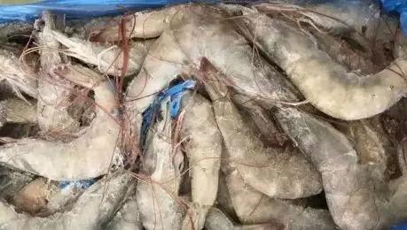 煮大虾是开水下锅还是冷水下锅,清煮大虾是冷水下锅还是热水下锅