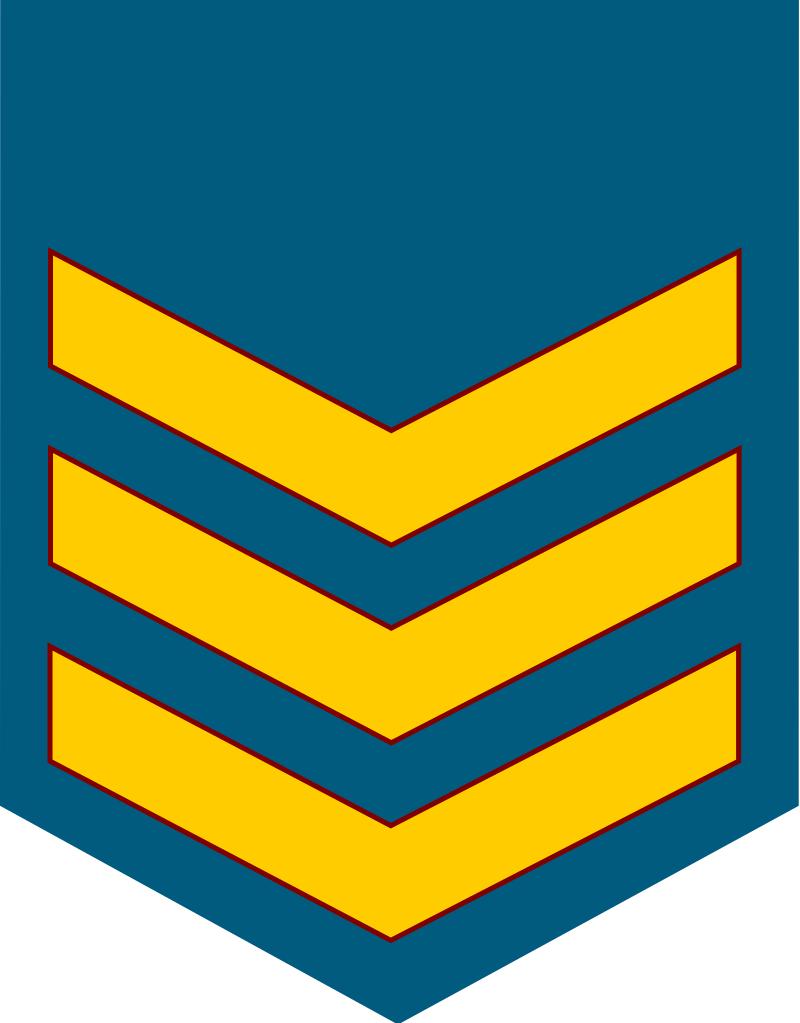 各国军衔标识韩国,马来西亚军衔等级对照表