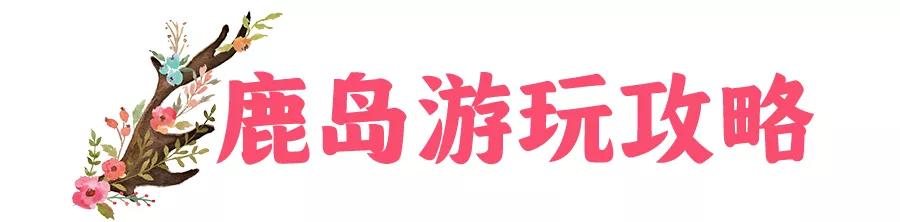 东南花都花博园全新升级鹿岛公园,东南花都花博园导览图