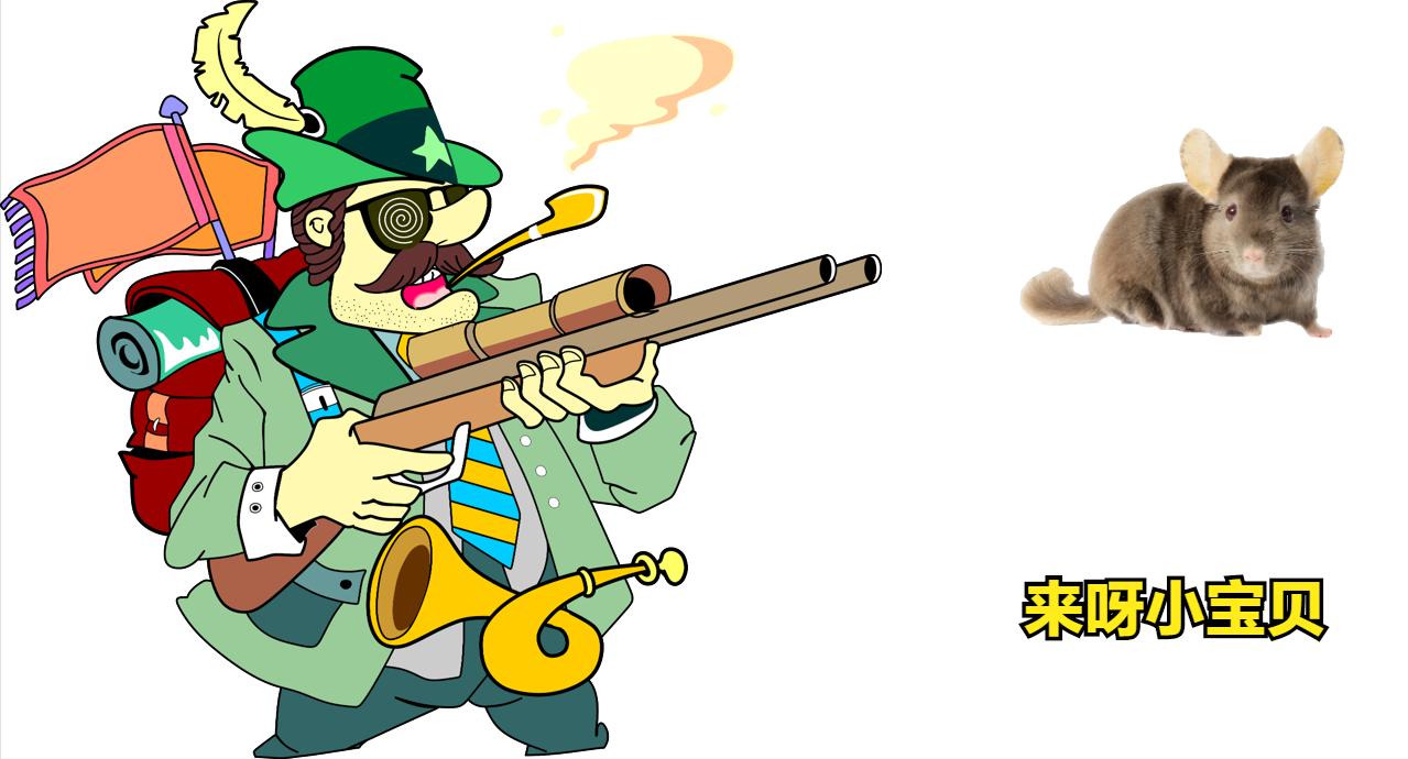 龙猫是猫还是鼠啊,龙猫是猫还是鼠