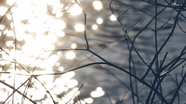 二月二的祭文,写给二姑的祭文