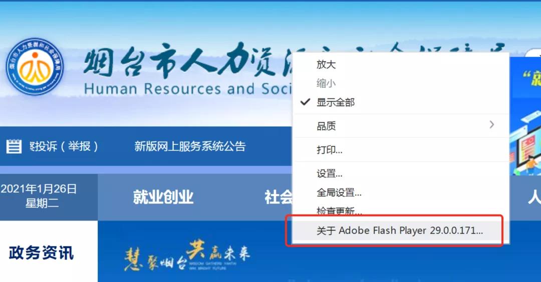 flash停止运营网页游戏,flash停用后市场空缺谁来填补