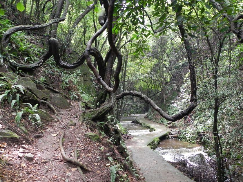 昆明青龙峡风景区,昆明青龙峡有啥好玩的