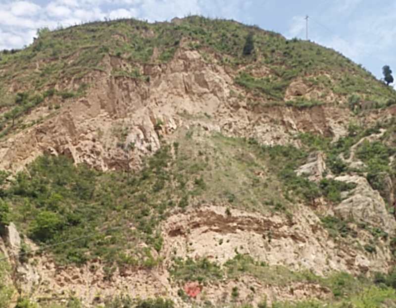 甘谷金山农民作家张志刚,甘谷徒步张志刚