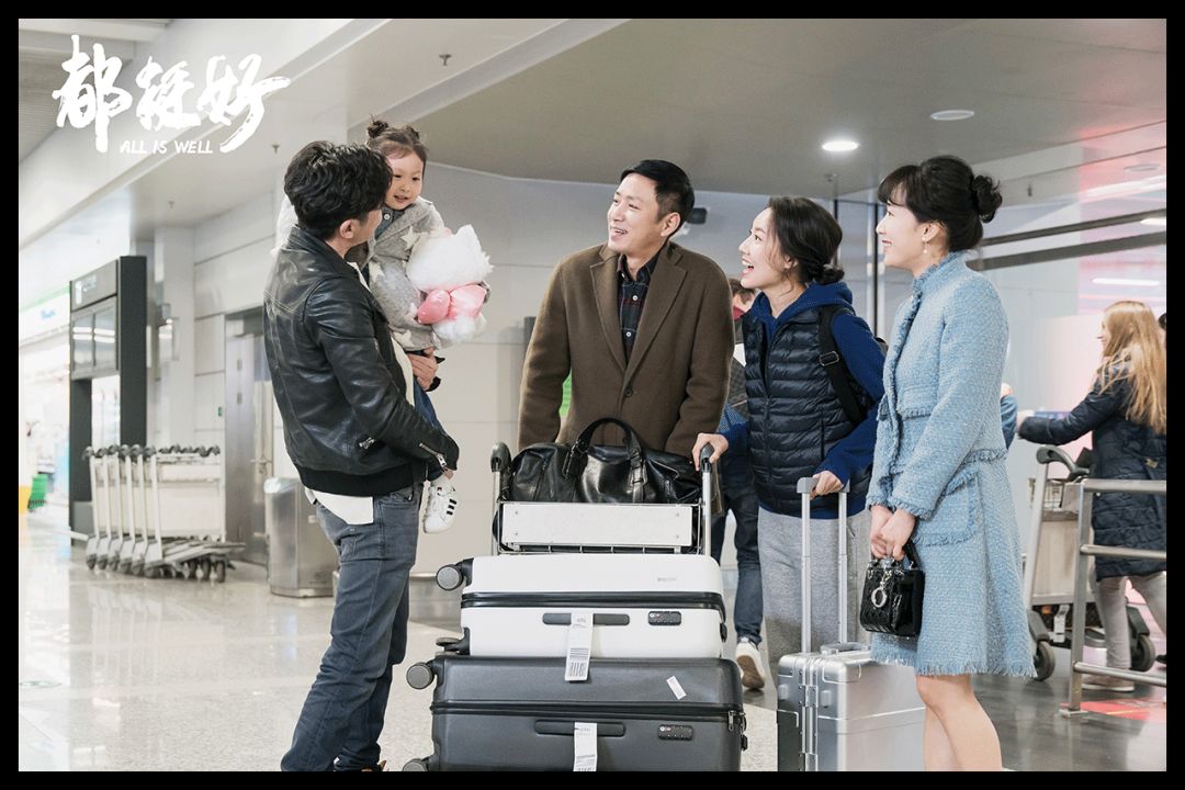 除了苏家和凌家还有什么家,除了苏家还有哪个家族