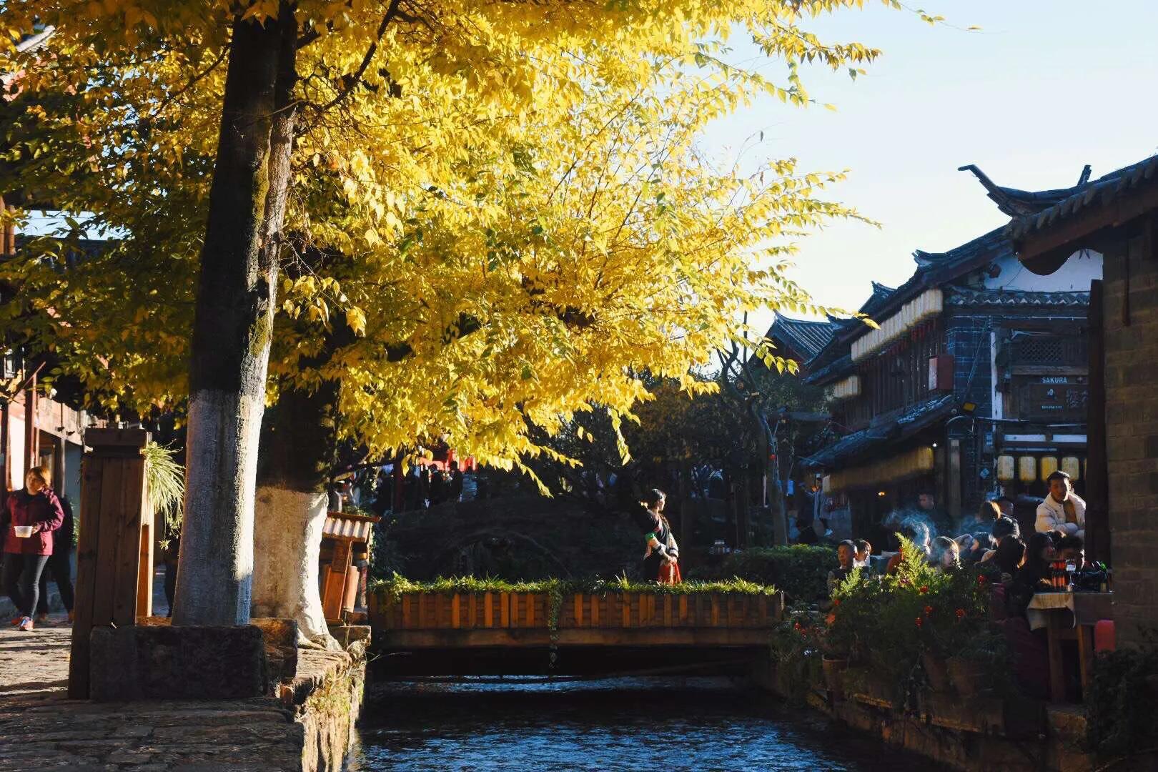 高考择校之我为什么选择云南大学