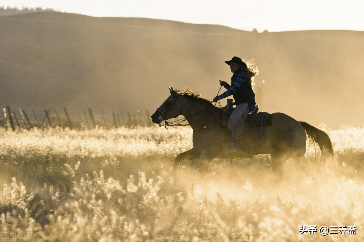 《敕勒歌》古诗背诵,小学生必背古诗词75首敕勒歌译文