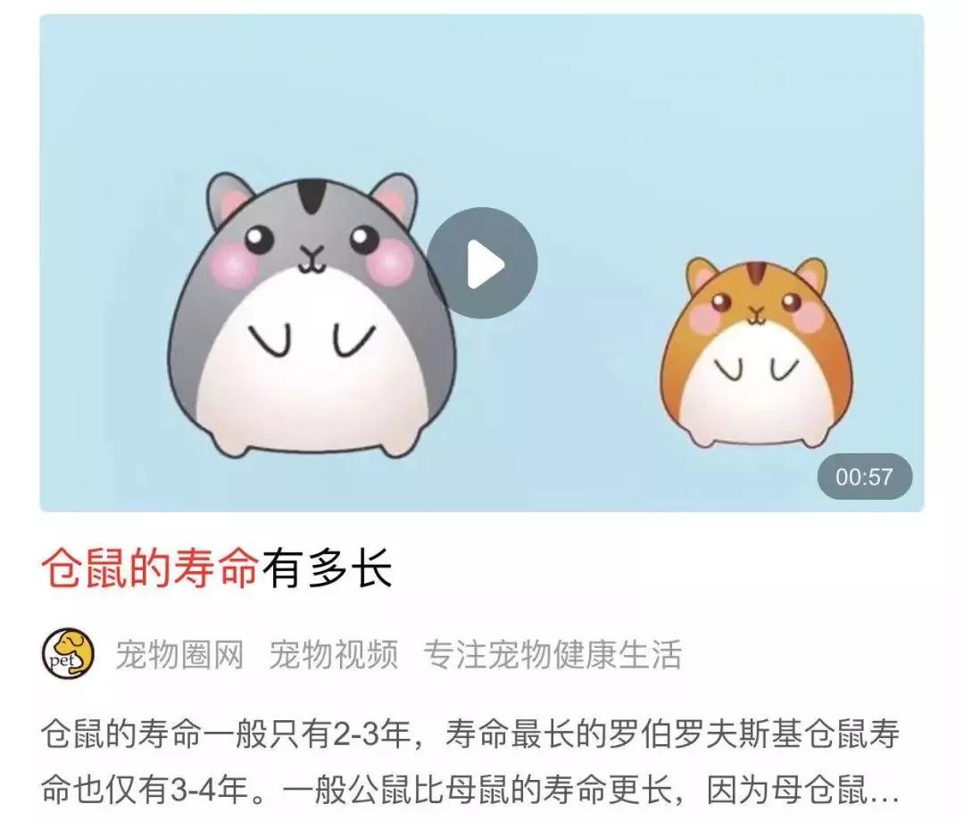 蝙蝠那么多病毒为什么不灭绝它,蝙蝠为什么是奇葩动物呢