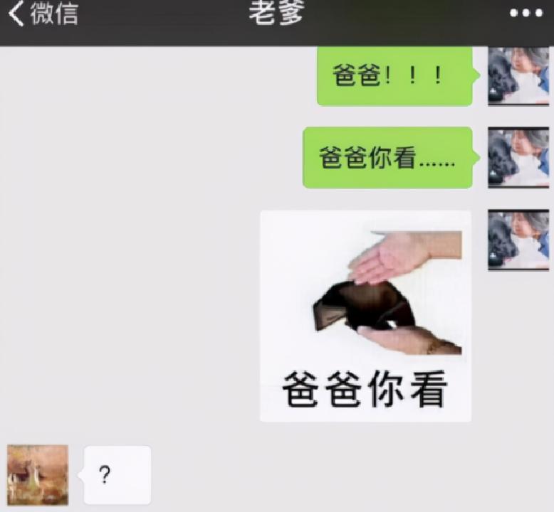 在山上遇到什么野果,在山上遇到哪些野菜