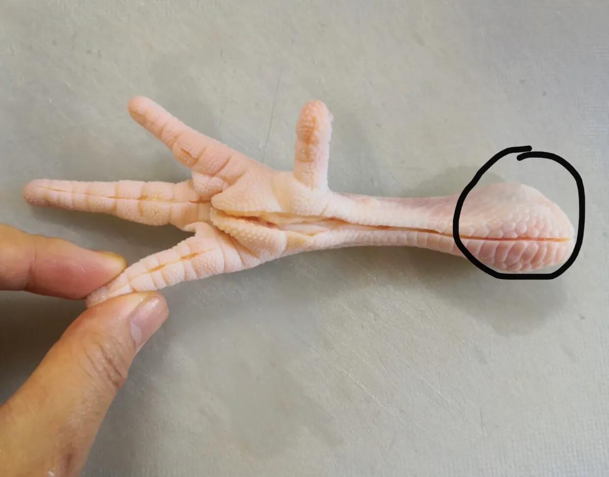 脱骨鸡爪手法,简单鸡爪脱骨技巧