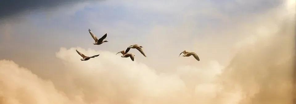 团贷网案件的最新消息,团贷网案的官方最新消息