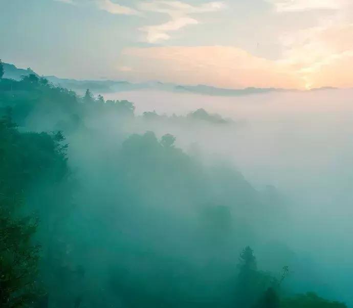纵豆蔻词工青楼梦好难赋深情出处,纵豆蔻词工青楼梦好难赋深情赏析