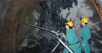 大叔种5亩麦子卖了多少钱,大叔种菜一年5000万