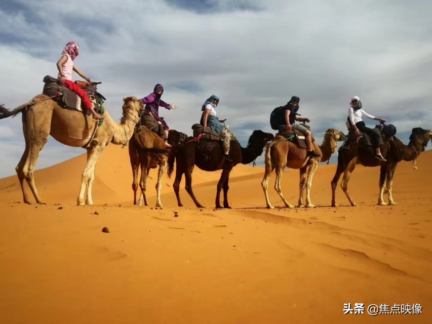 生如夏花绚烂死如落叶精美字体,生如夏花绚烂死如秋叶静美英语