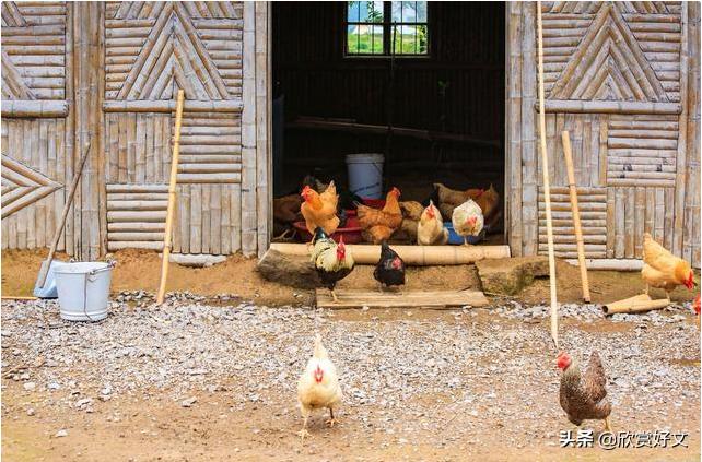 户口会被强制取消吗,户口制会取消吗