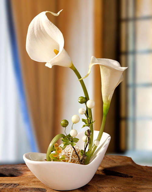 花艺插花常见花名有哪些,鲜花插花的技巧有哪些