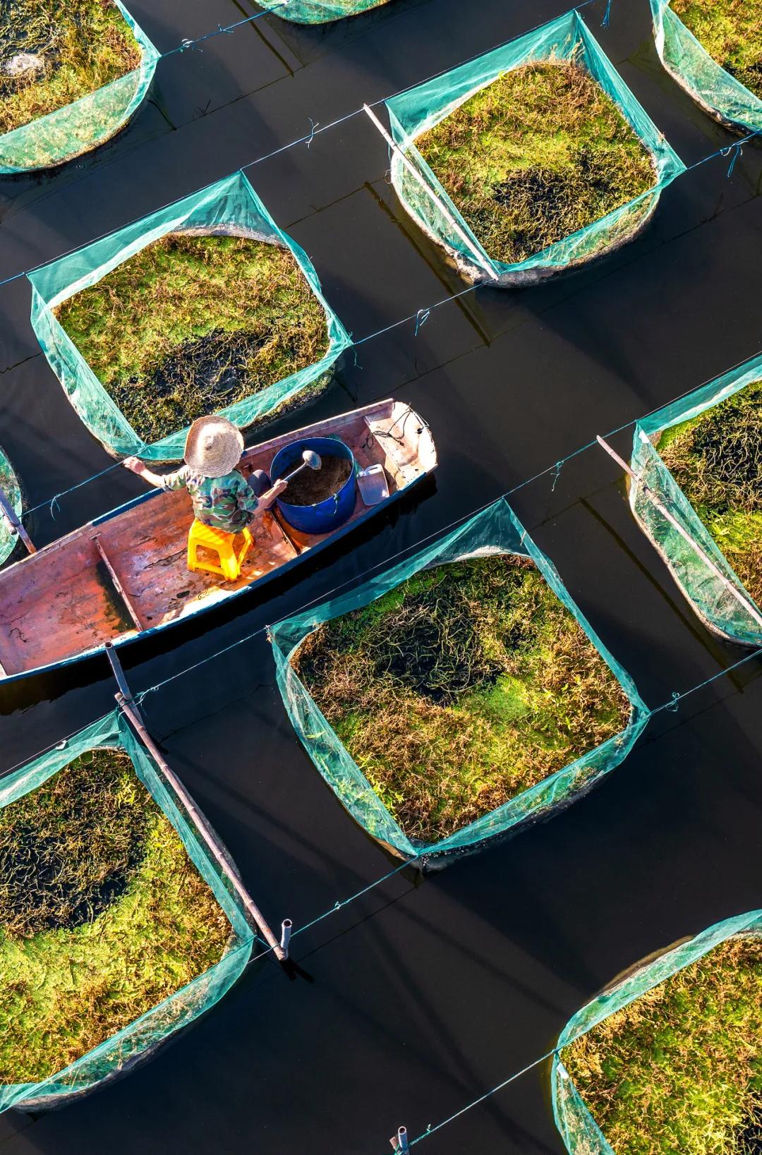 鳝鱼有几种吃法怎么吃,广东鳝鱼怎么做好吃