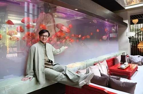 养鱼招财摆放位置和方向,养鱼招财在风水中的效果及禁忌