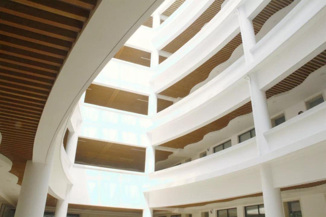 2021上海新学校,上海新大型学校