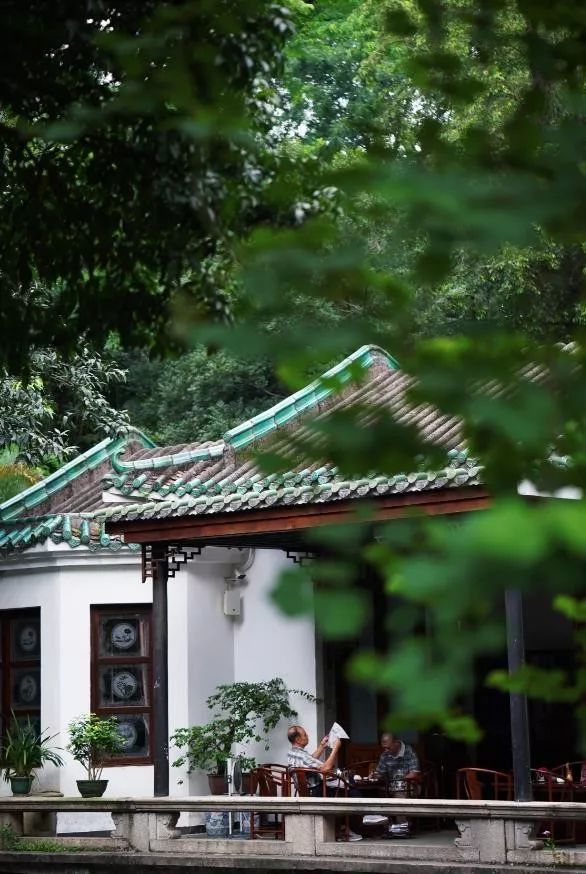 什么是药食同源你知道吗,如何正确认识药食同源