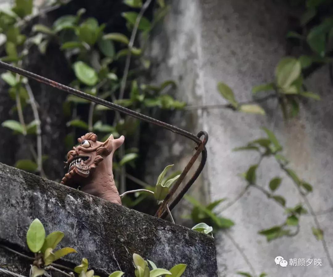 岐阳梧桐起凤环，鹭兮鹭兮寻不见（上）