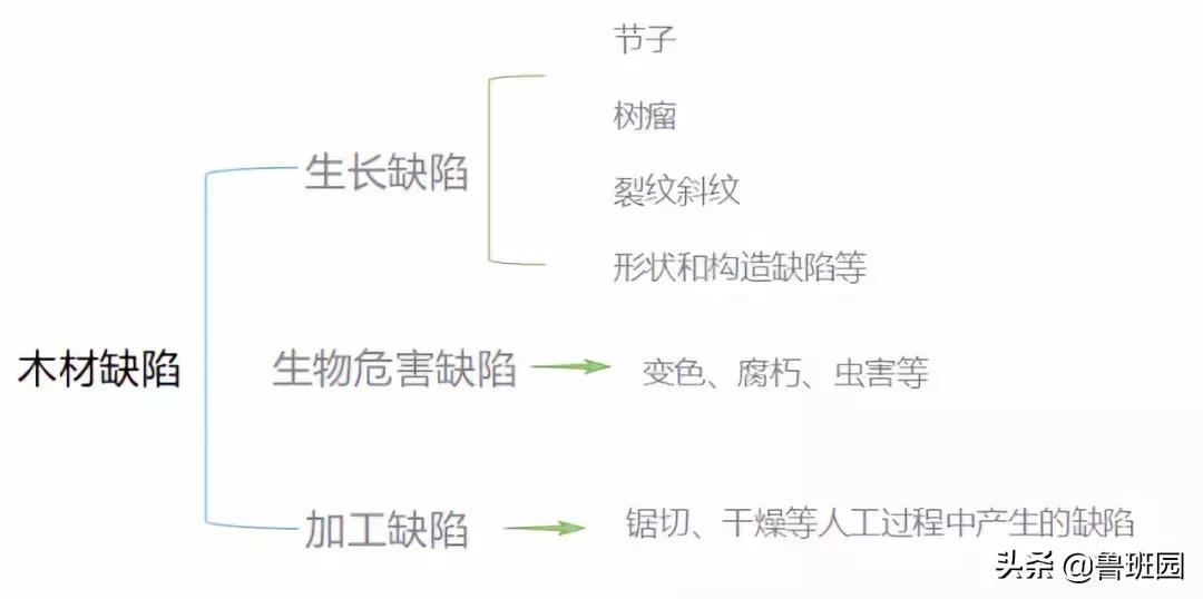 木材的主要缺陷,木材缺陷有哪些