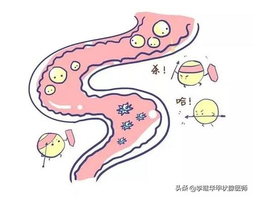 桥本甲状腺炎和甲减的恩怨,甲状腺与碘的恩怨