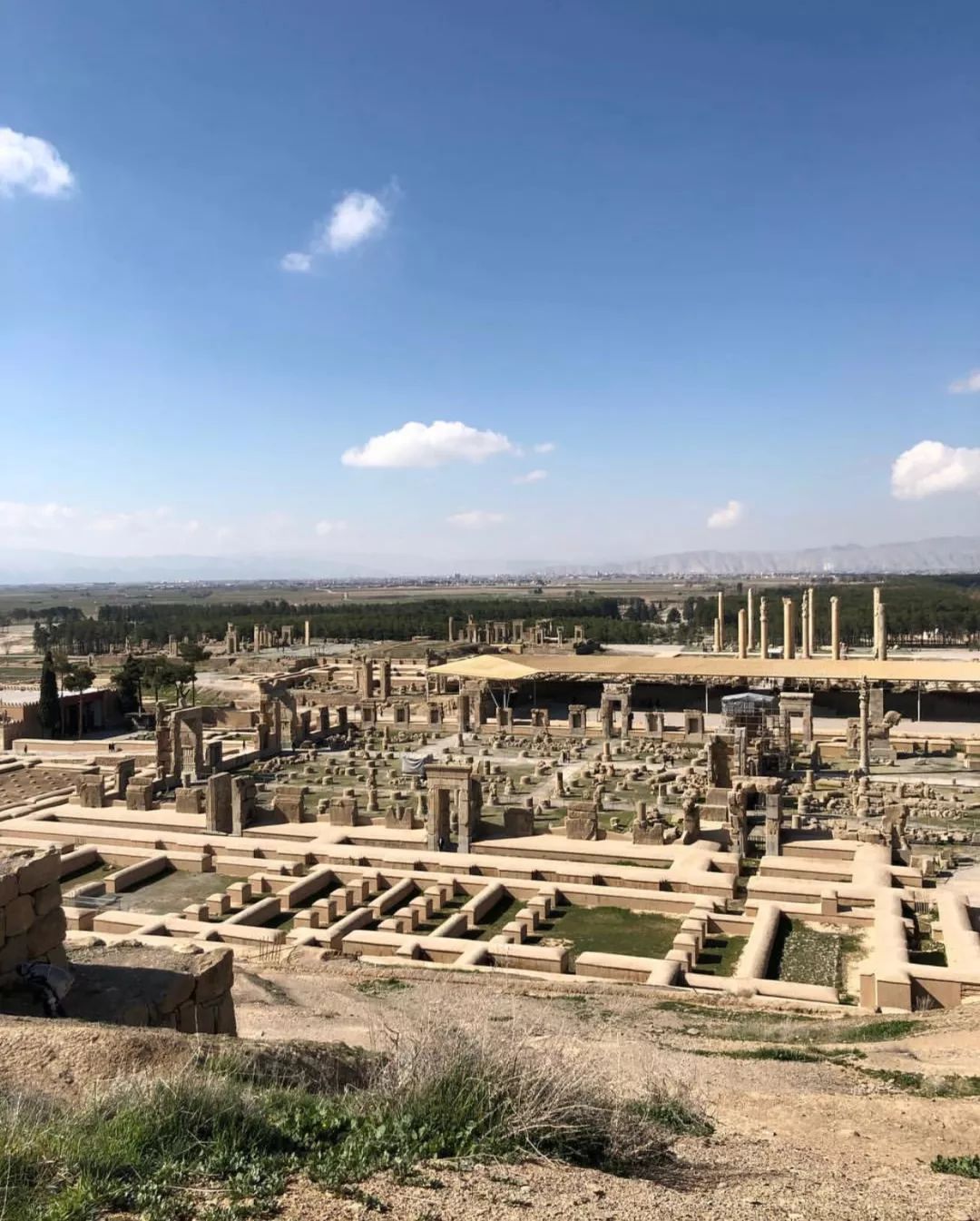 说出三个对中国免签的国家,唯一一个只对中国免签的国家