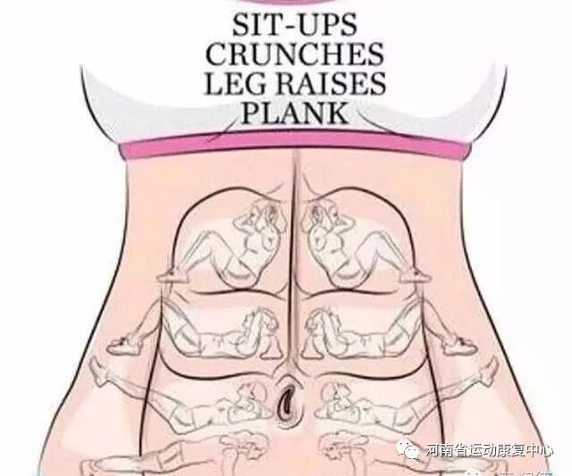 腹直肌分离中医有什么可靠疗法,腹直肌分离能做扩胸运动吗