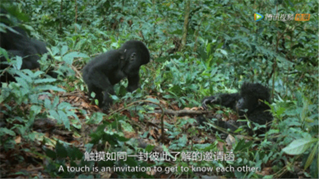 bbc有多有钱,bbc多有钱