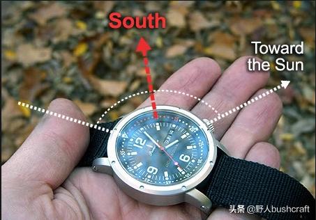 野外迷路树叶稠的一面是什么方向,野外迷路怎么寻找正确求生路线