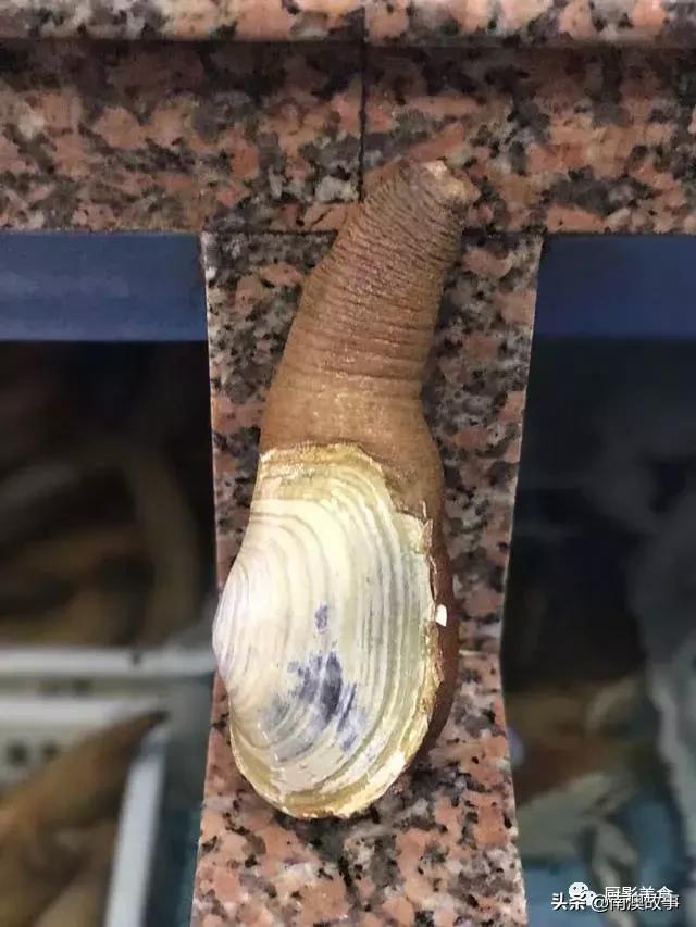 水煮贝壳类海鲜煮多久,海边海鲜用什么水煮好吃