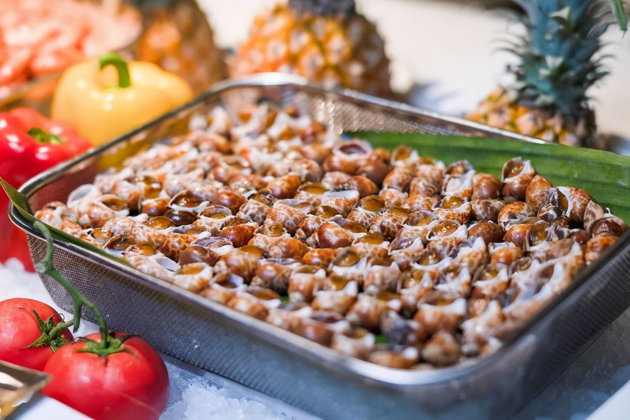 荆州绿地铂骊酒店宴会厅,荆州绿地铂骊酒店有多少房间