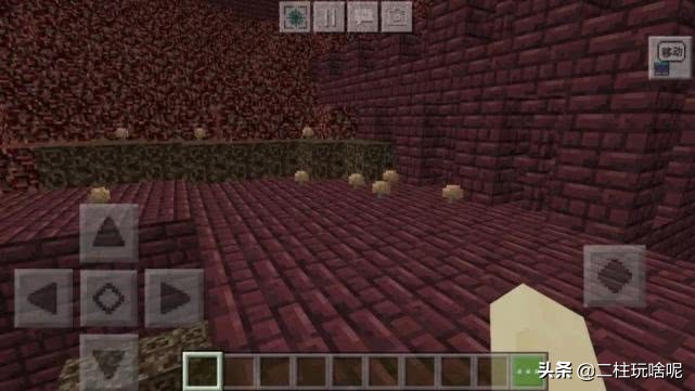 十大珍稀植物排行榜,中国十大珍稀植物排名