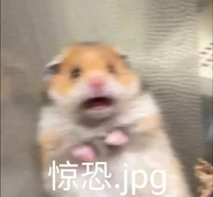 城市套路深，我求求你们不要再信这些了！